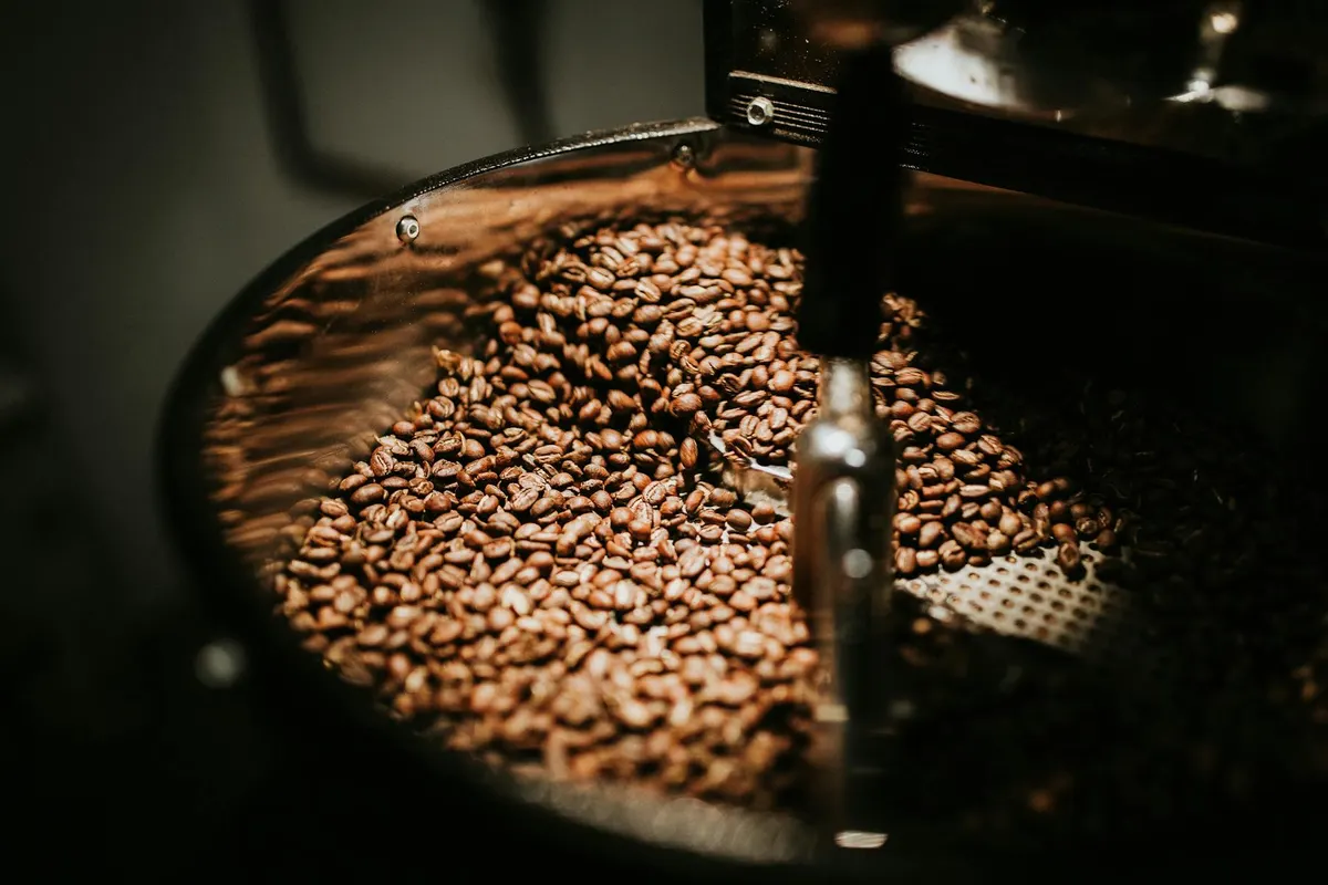 Coffee beans in the cooling tray of a small-batch roaster